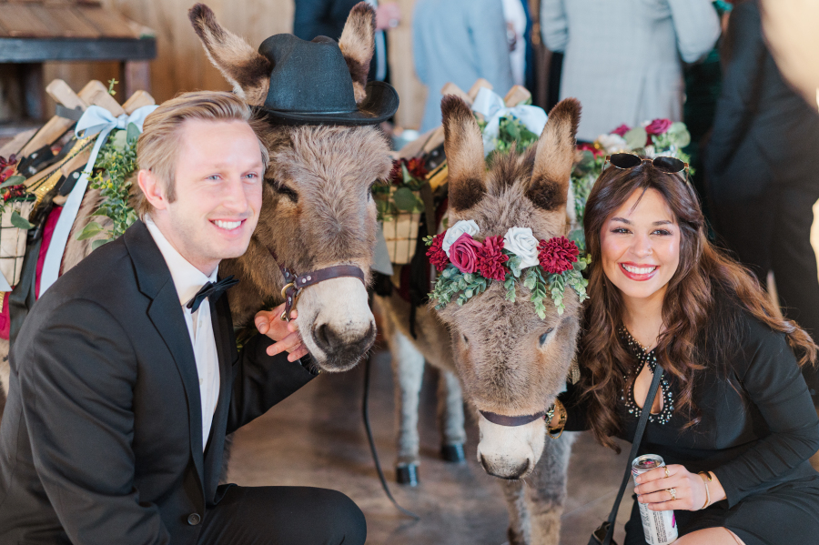 Happy wedding guests squat to be head height with flower covered donkies