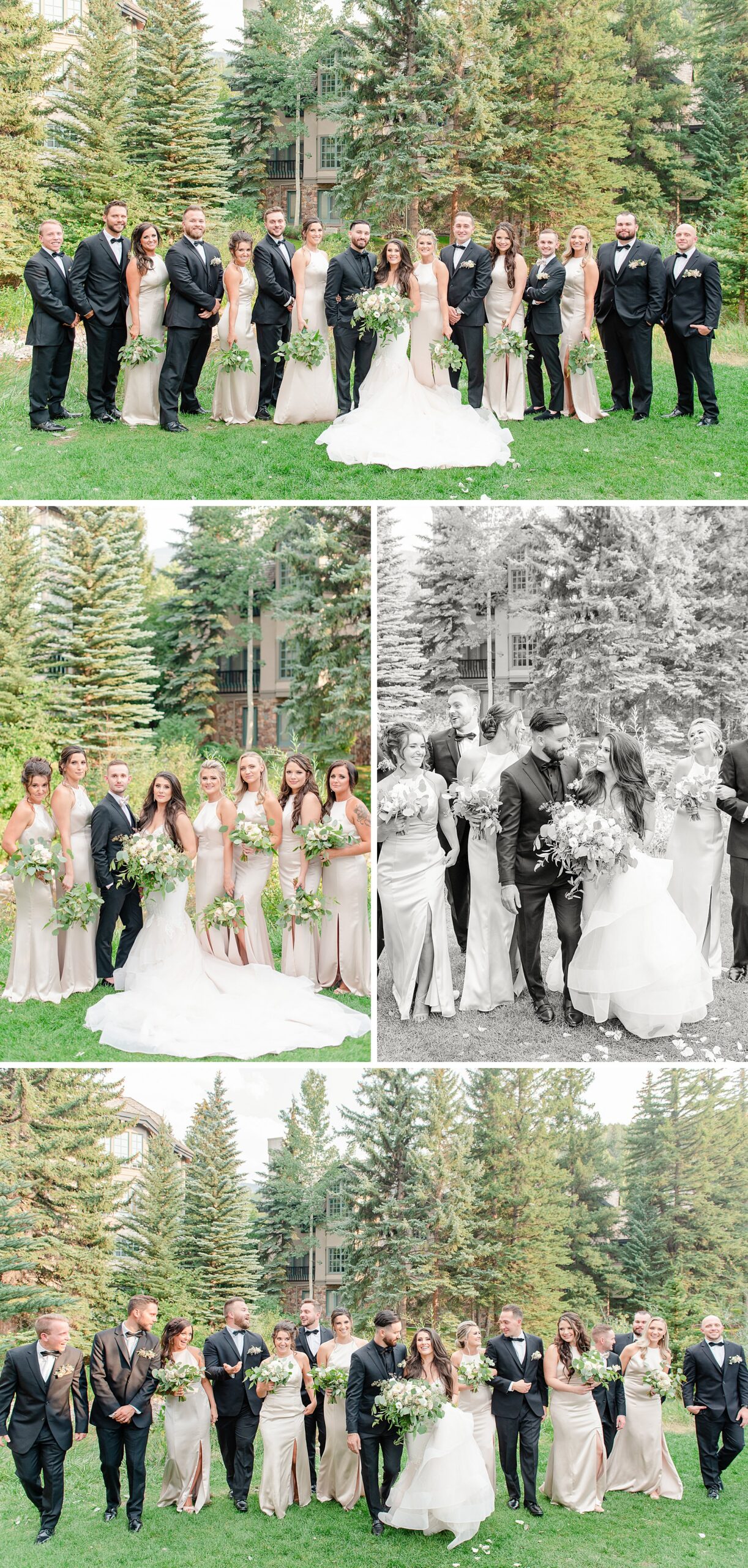 A collage of images of the newlyweds with their large bridal party in the lawn
